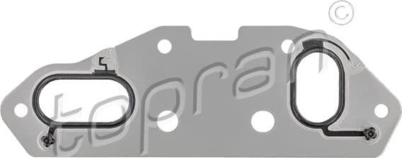 Gasket, oil cooler 628 116
