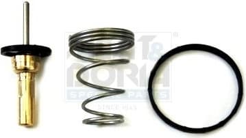 Thermostat, coolant 92780