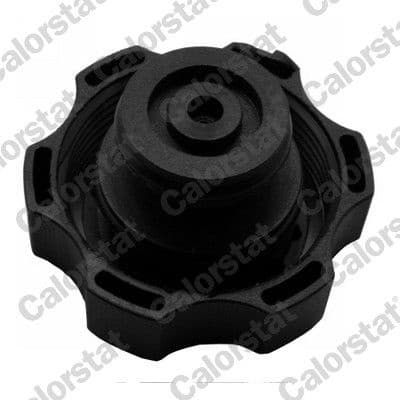 Expansion Tank, coolant ET0042C1 - image 3