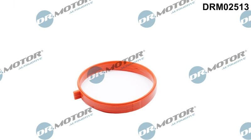 Gasket, throttle body DRM02513