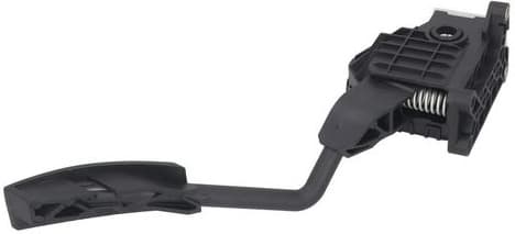 Accelerator Pedal 4200003