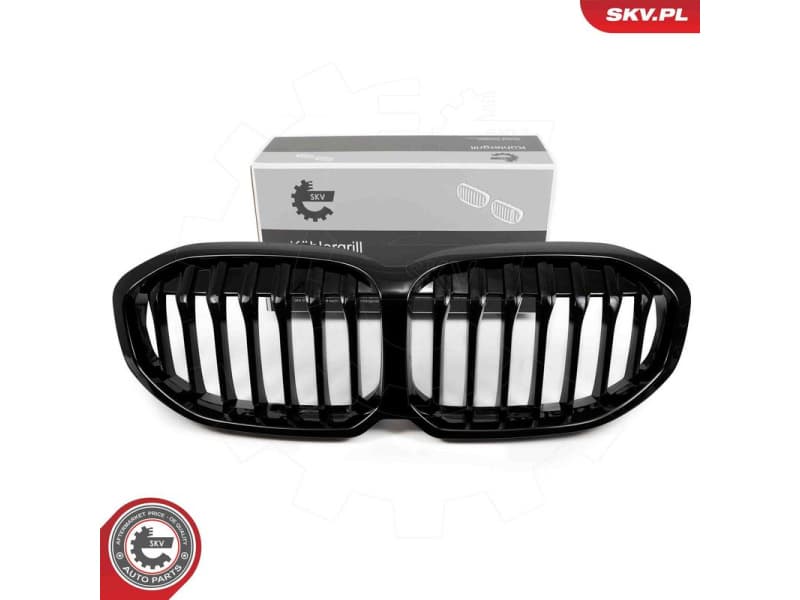 Radiator Grille 66SKV024