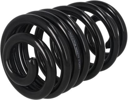 Suspension Spring 2120294 - image 4