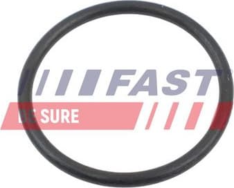 Charge Air Hose FT10366 - image 2