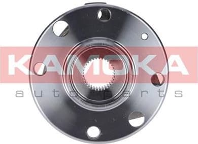 Wheel Bearing Kit 5500062