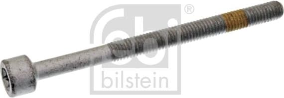Bolt injector fitting 28407