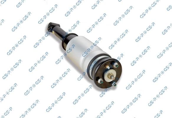 Air Suspension Strut 30900480