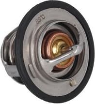 Thermostat, coolant 7710156