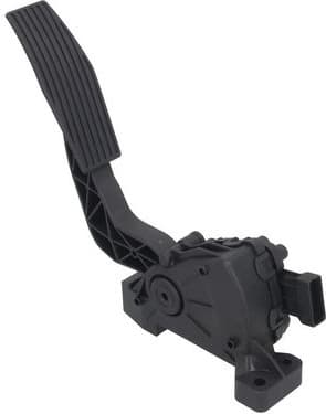 Accelerator Pedal 4200020