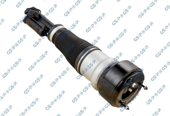 Air Suspension Strut 30900332