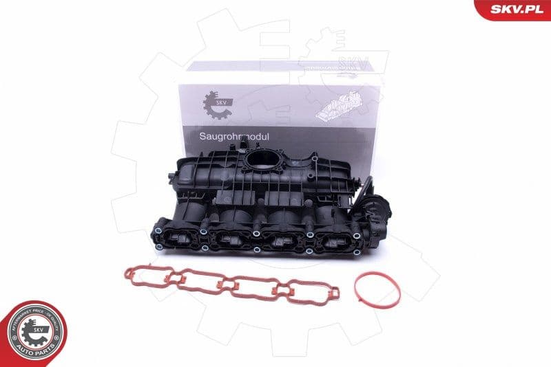 Intake Manifold Module 49SKV035