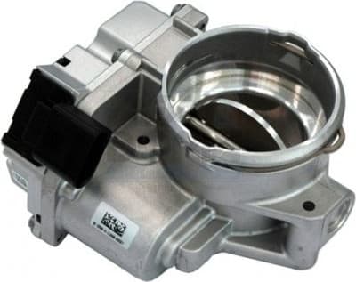 Throttle Body 89071