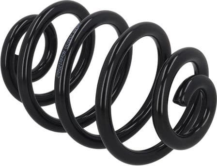 Coil spring 2120710