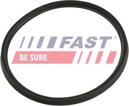 Seal Ring, charge air hose FT48965