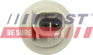 Quarter Panel FT77304