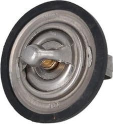 Thermostat, coolant 7710057