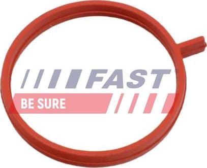 Seal Ring, oil cooler (lubrication) FT48961 - image 2