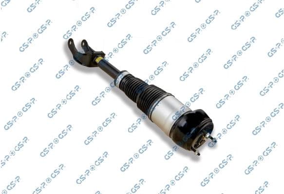 Air Suspension Strut 30900421