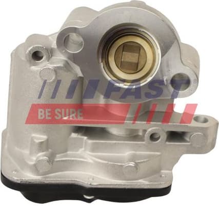 EGR Valve FT60244