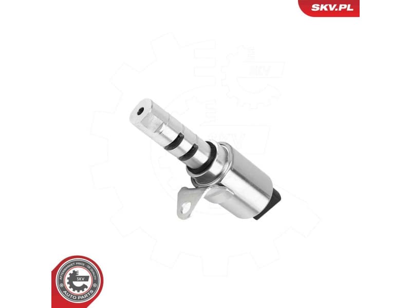 Control Valve, camshaft adjustment 39SKV087