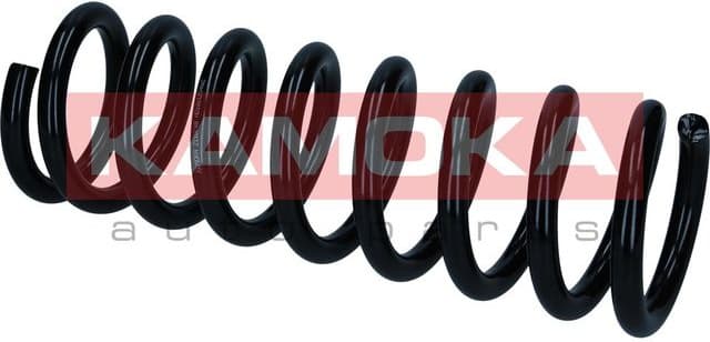 Suspension Spring 2110748