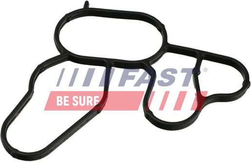Seal Ring, oil cooler (lubrication) FT49912