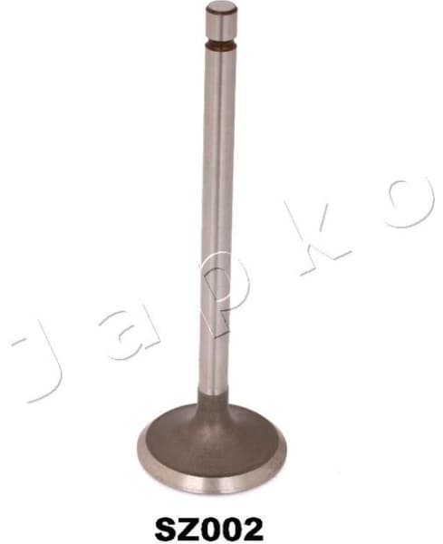 Intake Valve 5SZ002