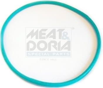 Seal, fuel tank cap GSK02