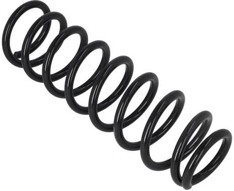 Suspension Spring 2120525 - image 4