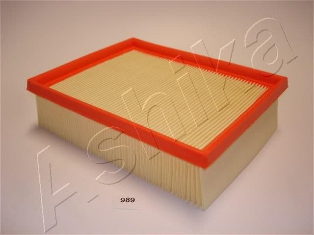 Air Filter 20-09-989