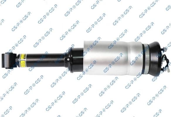 Air Suspension Strut 30900850