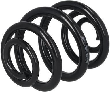 Suspension Spring 2120338 - image 4