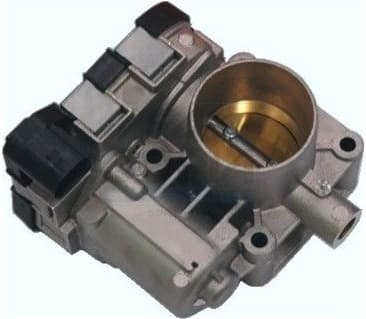 Throttle Body 89059R