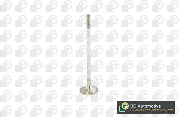 Valve exhaust V016840