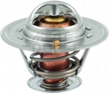 Thermostat, coolant 92213