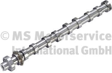 Camshaft 50056000