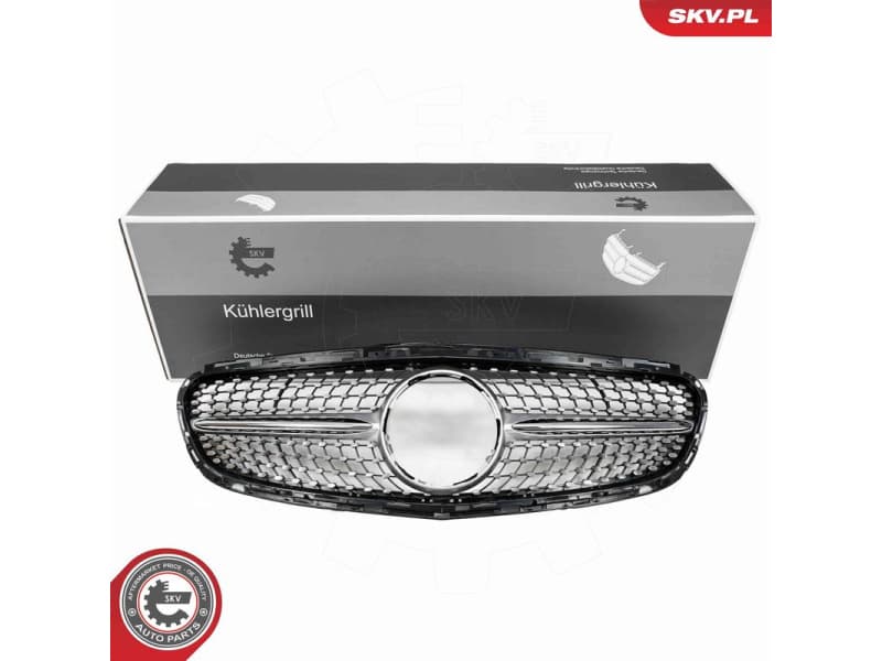 Radiator Grille 66SKV549