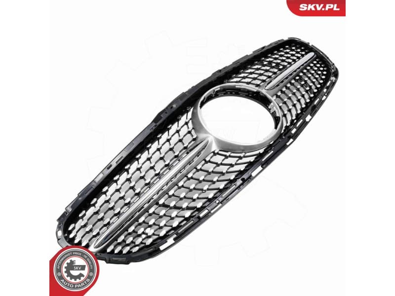 Radiator Grille 66SKV549 - image 4