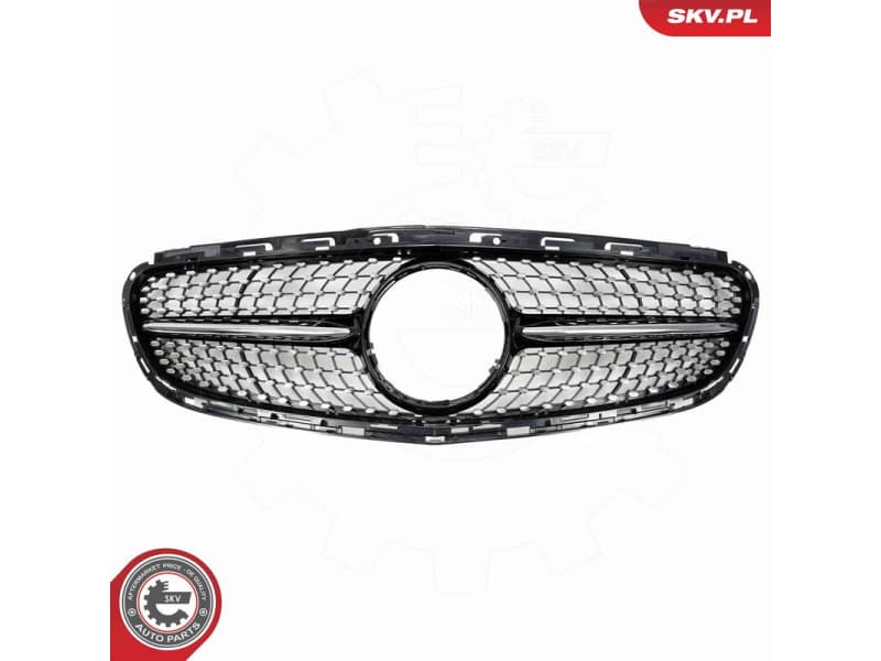 Radiator Grille 66SKV548 - image 2