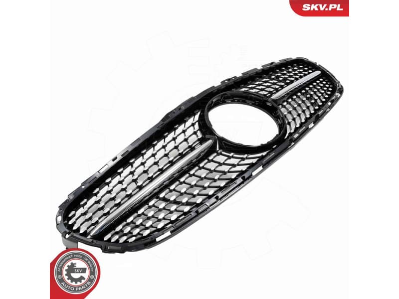 Radiator Grille 66SKV548 - image 4