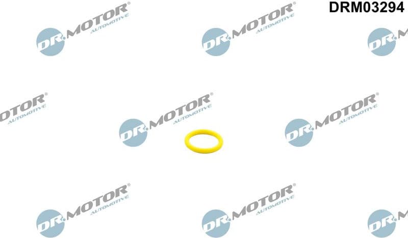 Locking Ring, fuel pump DRM03294
