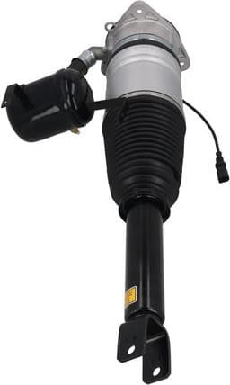 Air Suspension Strut 2070108