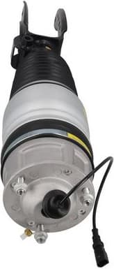Air Suspension Strut 2070108 - image 3