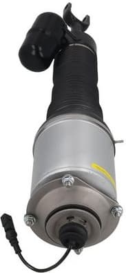 Air Suspension Strut 2070050 - image 2