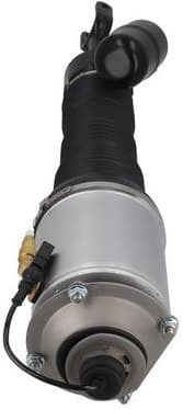 Air Suspension Strut 2070050 - image 3