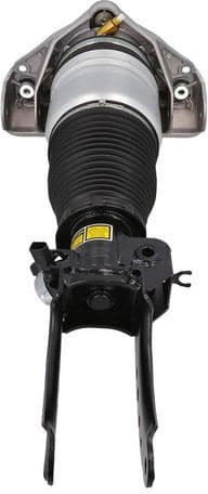 Air Suspension Strut 2070127 - image 4