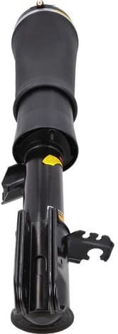 Air Suspension Strut 2070058