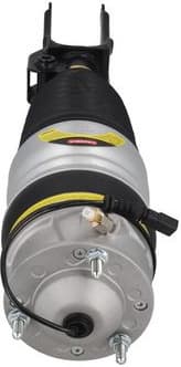 Air Suspension Strut 2070109 - image 3