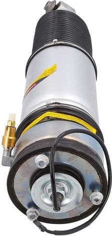 Air Suspension Strut 2070098 - image 2