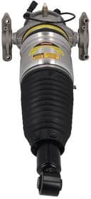 Air Suspension Strut 2070064